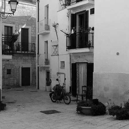 A Sud House