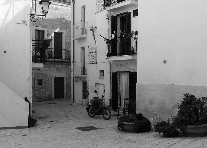 A Sud House